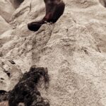 WhatsApp Image 2025-05-31 at 5.26.08 PM